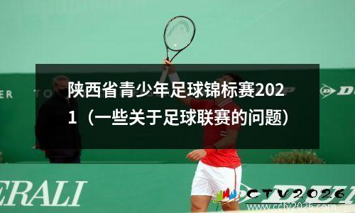 陕西省青少年足球锦标赛2021（一些关于足球联赛的问题）