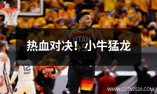 热血对决！小牛猛龙