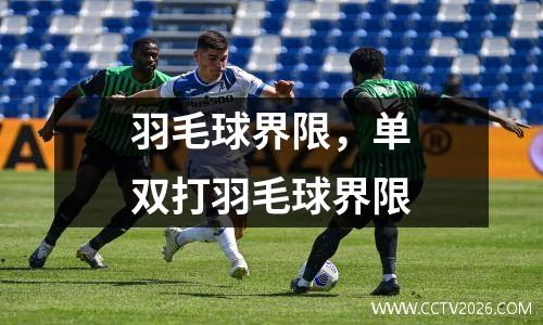 羽毛球界限，单双打羽毛球界限
