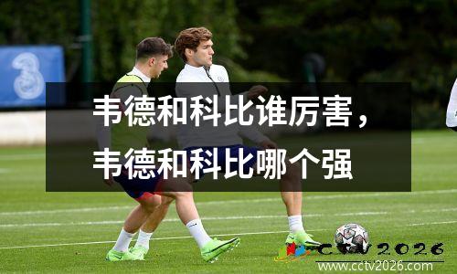 韦德和科比谁厉害，韦德和科比哪个强