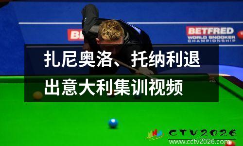 扎尼奥洛、托纳利退出意大利集训视频