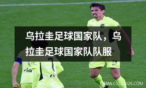 乌拉圭足球国家队，乌拉圭足球国家队队服