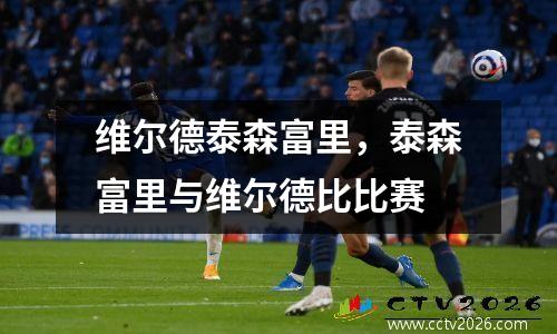 维尔德泰森富里，泰森富里与维尔德比比赛