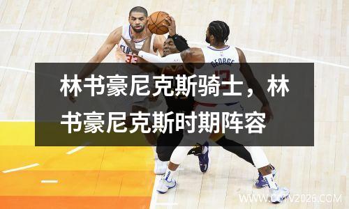 林书豪尼克斯骑士，林书豪尼克斯时期阵容