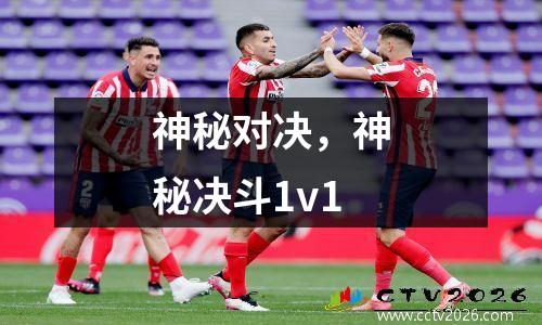 神秘对决，神秘决斗1v1