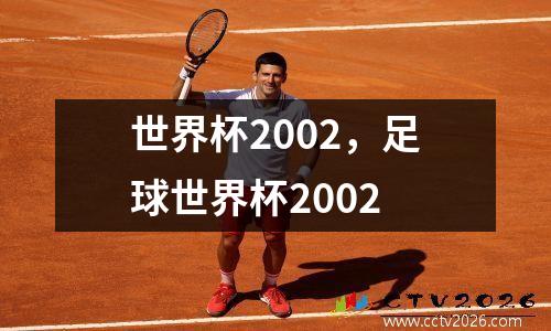 世界杯2002，足球世界杯2002