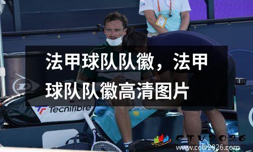 法甲球队队徽，法甲球队队徽高清图片