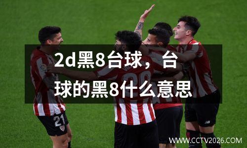 2d黑8台球，台球的黑8什么意思