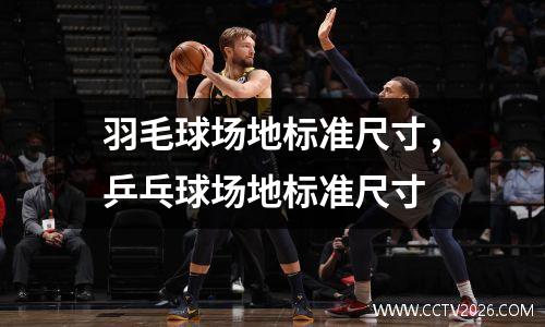 羽毛球场地标准尺寸，乒乓球场地标准尺寸