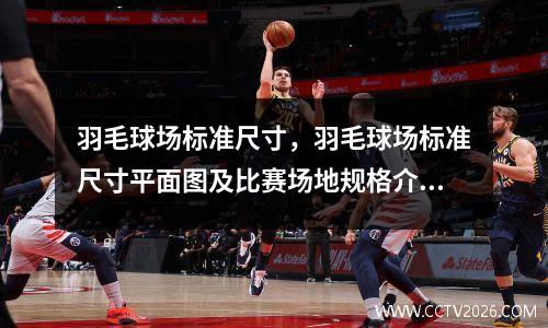 羽毛球场标准尺寸，羽毛球场标准尺寸平面图及比赛场地规格介绍