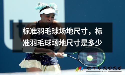 标准羽毛球场地尺寸，标准羽毛球场地尺寸是多少
