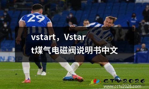 vstart，Vstart煤气电磁阀说明书中文