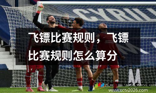 飞镖比赛规则，飞镖比赛规则怎么算分