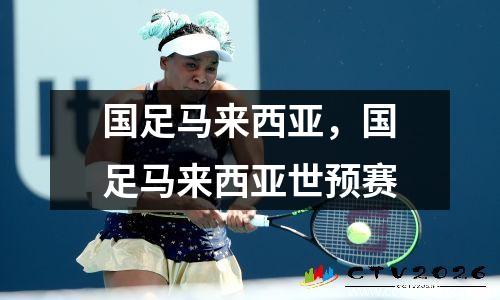 国足马来西亚，国足马来西亚世预赛