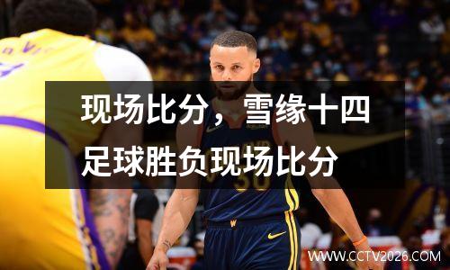 现场比分，雪缘十四足球胜负现场比分