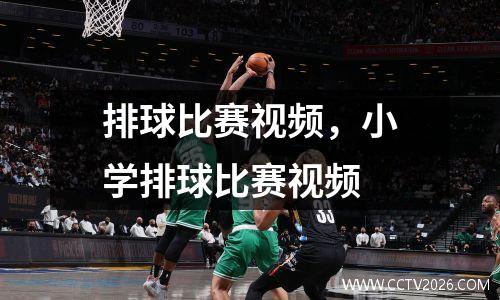 排球比赛视频，小学排球比赛视频