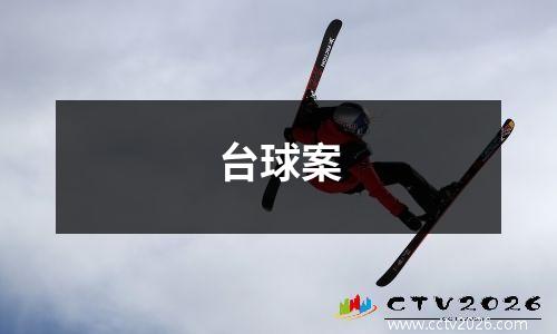 台球案