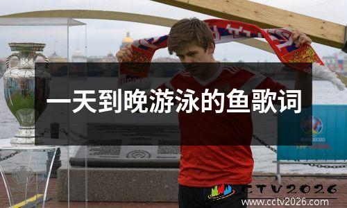一天到晚游泳的鱼歌词