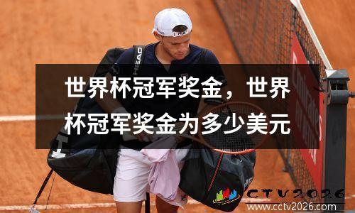 世界杯冠军奖金，世界杯冠军奖金为多少美元