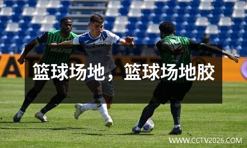篮球场地，篮球场地胶