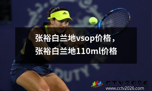 张裕白兰地vsop价格，张裕白兰地110ml价格
