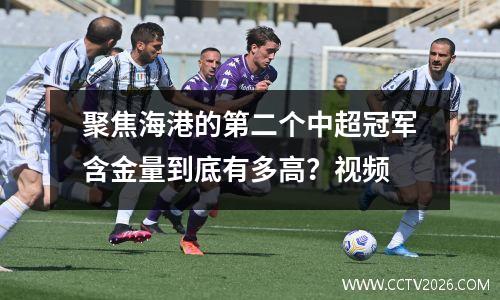 聚焦海港的第二个中超冠军含金量到底有多高？视频