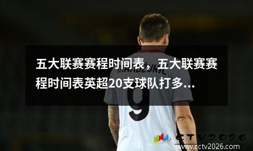 五大联赛赛程时间表，五大联赛赛程时间表英超20支球队打多少场