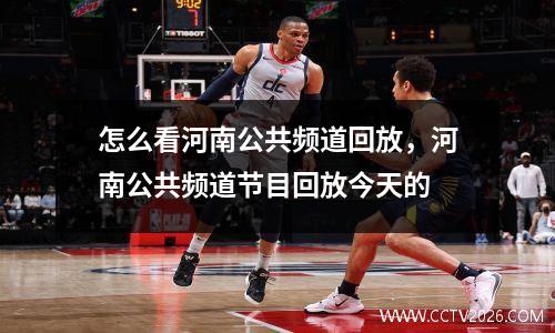 怎么看河南公共频道回放，河南公共频道节目回放今天的