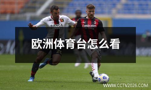 欧洲体育台怎么看
