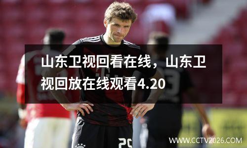 山东卫视回看在线，山东卫视回放在线观看4.20