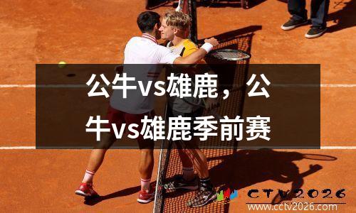 公牛vs雄鹿，公牛vs雄鹿季前赛
