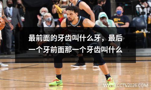 最前面的牙齿叫什么牙，最后一个牙前面那一个牙齿叫什么