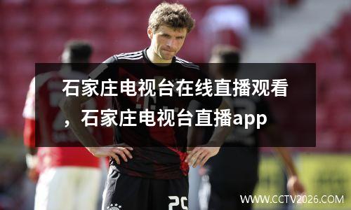 石家庄电视台在线直播观看，石家庄电视台直播app