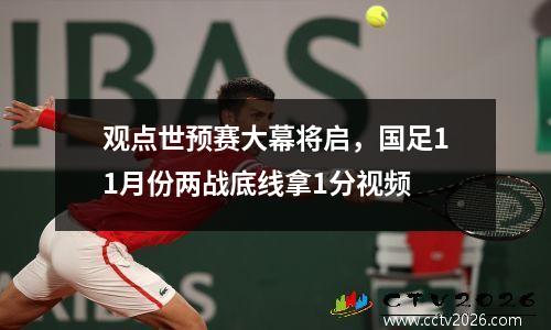观点世预赛大幕将启，国足11月份两战底线拿1分视频