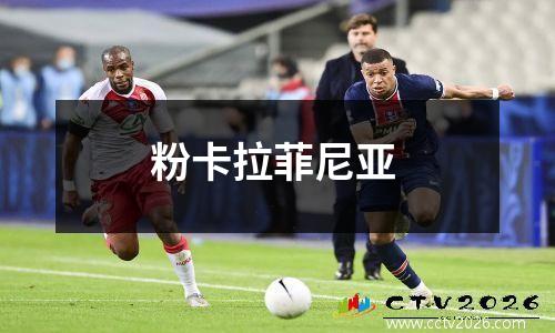 粉卡拉菲尼亚