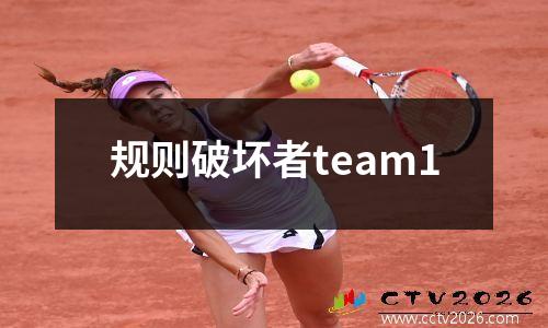 规则破坏者team1