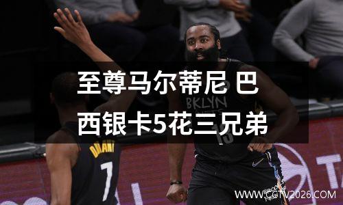 至尊马尔蒂尼 巴西银卡5花三兄弟