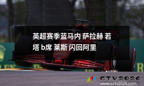 英超赛季蓝马内 萨拉赫 若塔 b席 莱斯 闪回阿里
