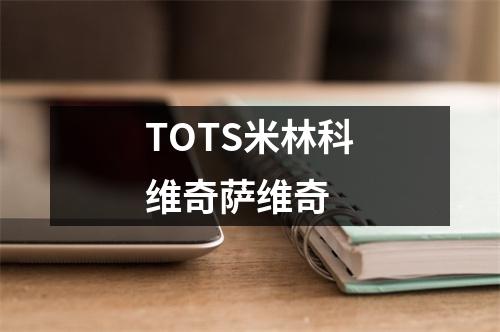 TOTS米林科维奇萨维奇