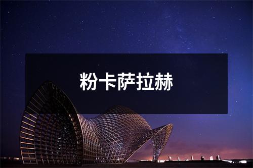 粉卡萨拉赫