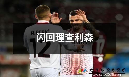 闪回理查利森