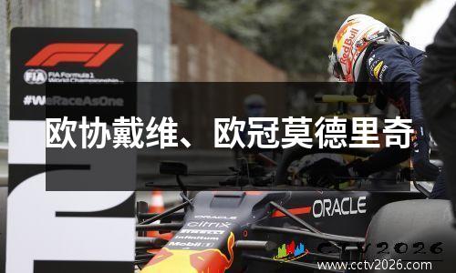 欧协戴维、欧冠莫德里奇