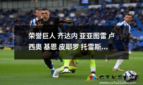 荣誉巨人 齐达内 亚亚图雷 卢西奥 基恩 皮耶罗 托雷斯