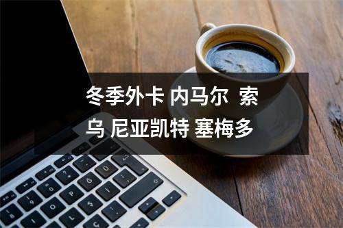 冬季外卡 内马尔  索乌 尼亚凯特 塞梅多