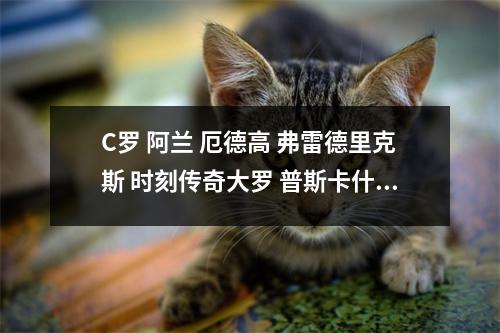 C罗 阿兰 厄德高 弗雷德里克斯 时刻传奇大罗 普斯卡什 齐达内 坎通纳 巴乔 维埃拉等 分享报告