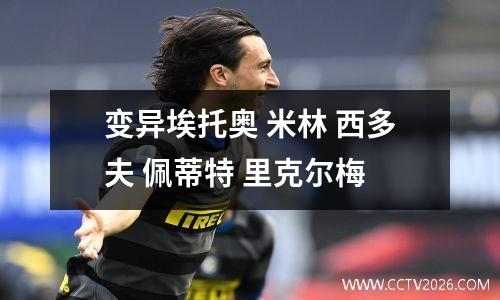变异埃托奥 米林 西多夫 佩蒂特 里克尔梅
