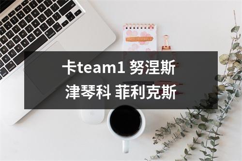 卡team1 努涅斯 津琴科 菲利克斯