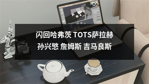 闪回哈弗茨 TOTS萨拉赫 孙兴慜 詹姆斯 吉马良斯