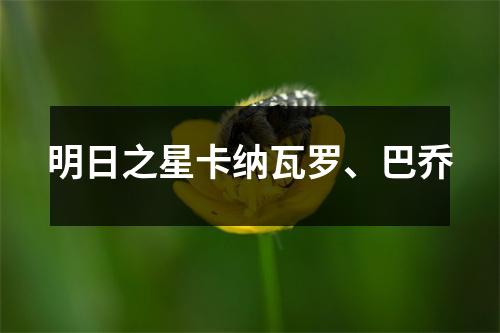 明日之星卡纳瓦罗、巴乔