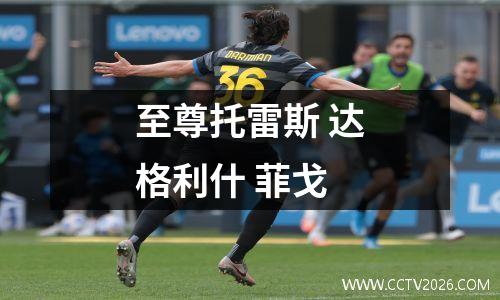 至尊托雷斯 达格利什 菲戈